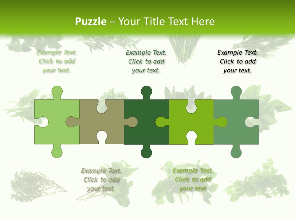 Basil Cilantro Lovage PowerPoint Template