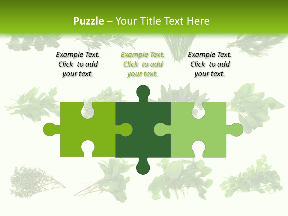 Basil Cilantro Lovage PowerPoint Template