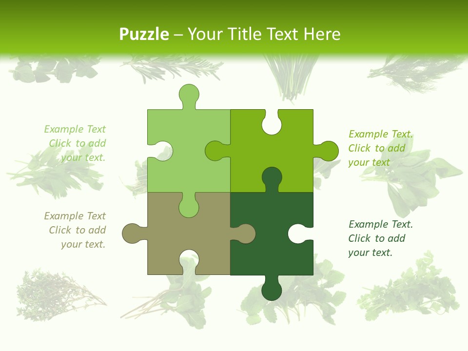 Basil Cilantro Lovage PowerPoint Template