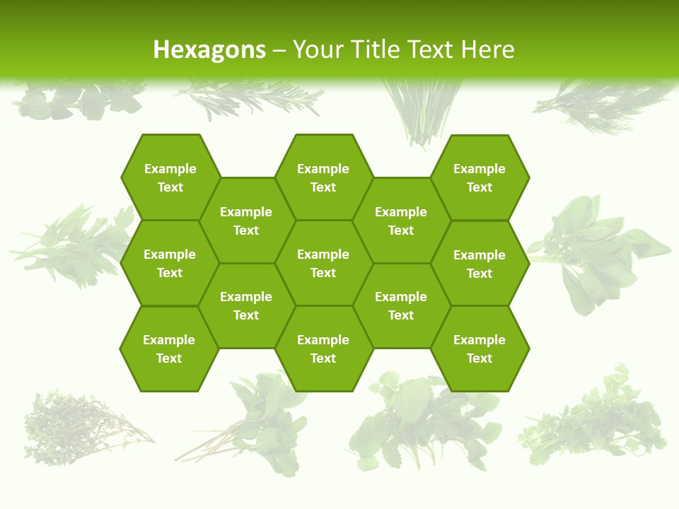 Basil Cilantro Lovage PowerPoint Template