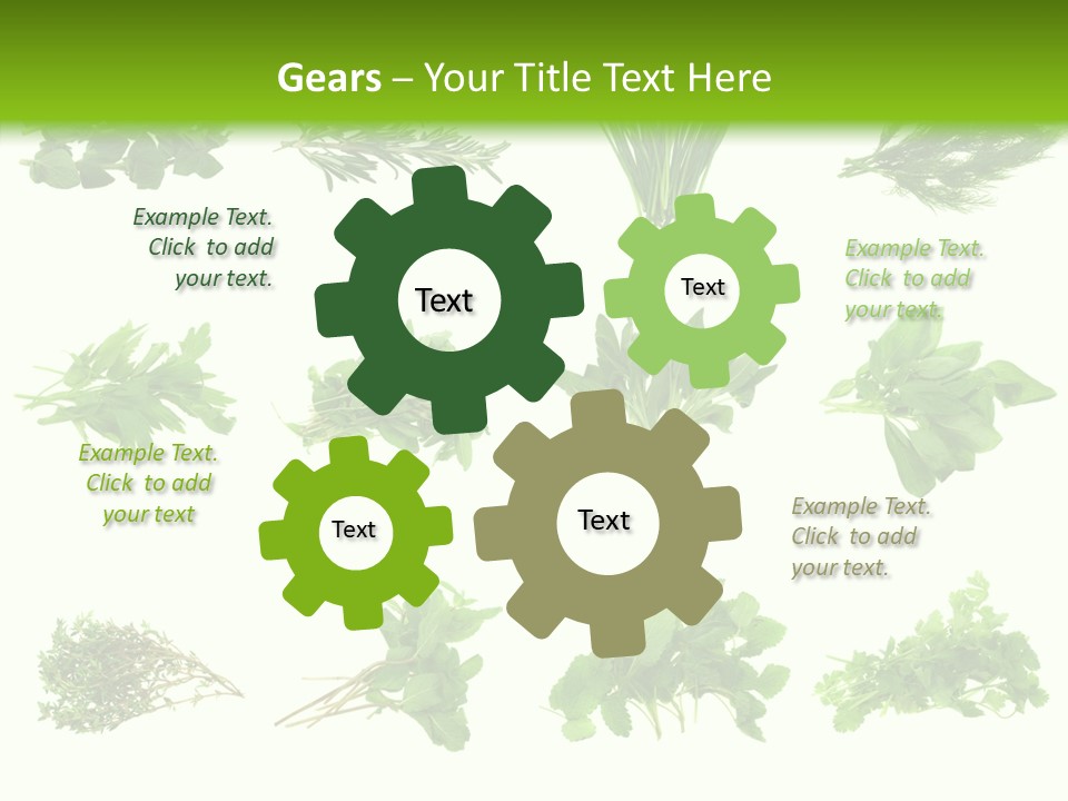 Basil Cilantro Lovage PowerPoint Template