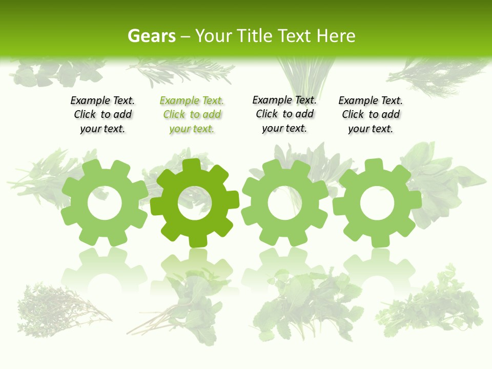 Basil Cilantro Lovage PowerPoint Template