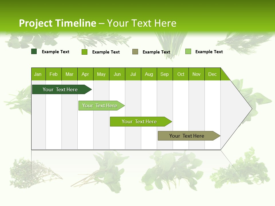 Basil Cilantro Lovage PowerPoint Template