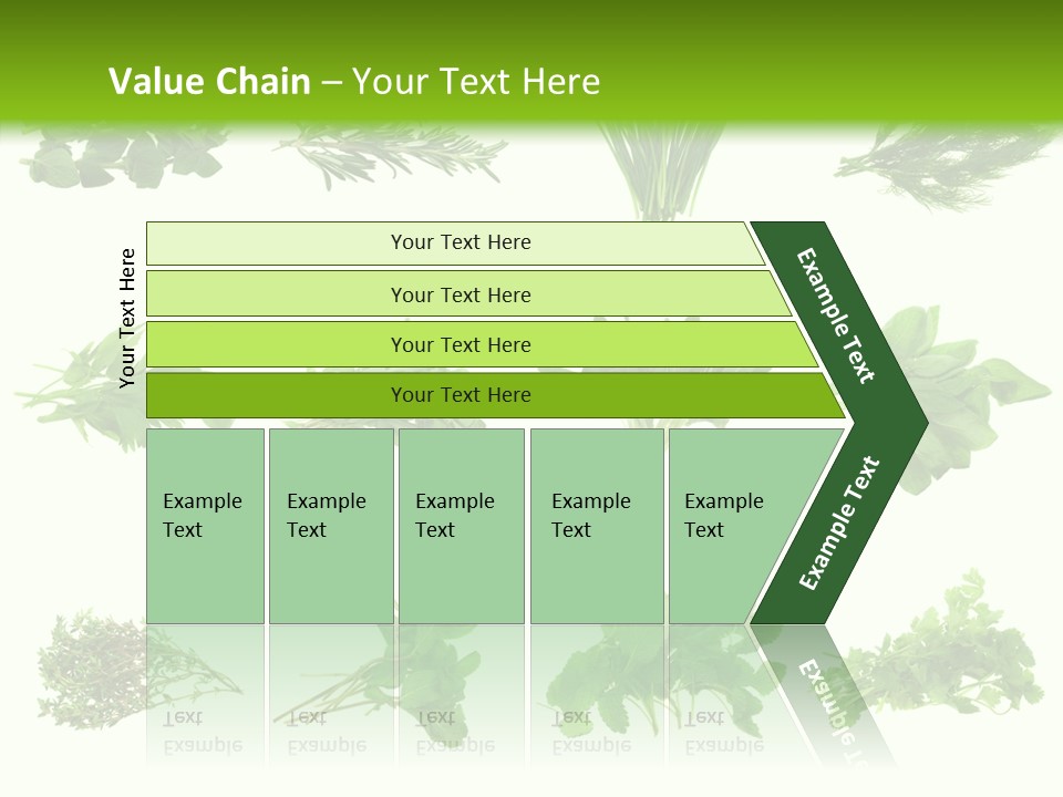 Basil Cilantro Lovage PowerPoint Template