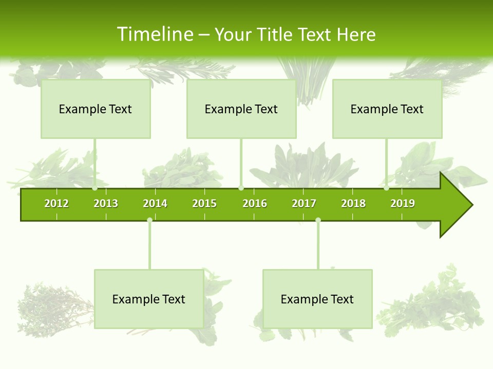 Basil Cilantro Lovage PowerPoint Template