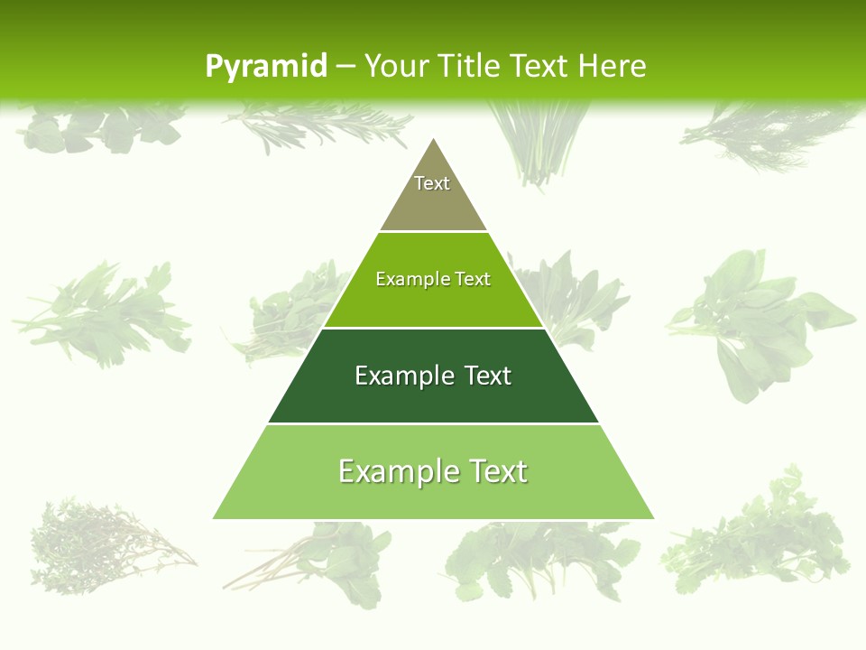 Basil Cilantro Lovage PowerPoint Template