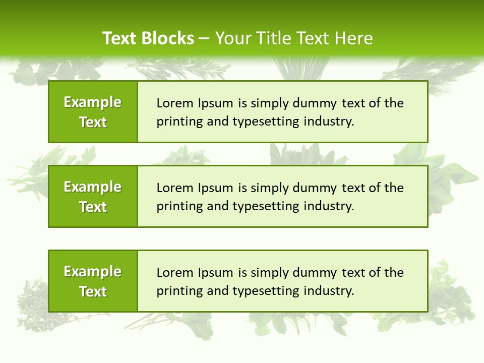 Basil Cilantro Lovage PowerPoint Template