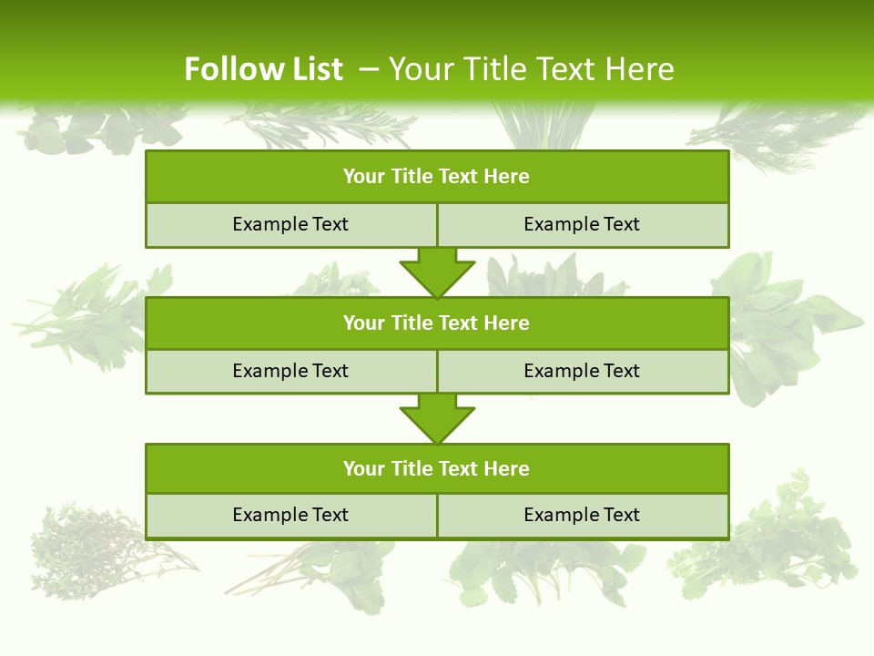 Basil Cilantro Lovage PowerPoint Template