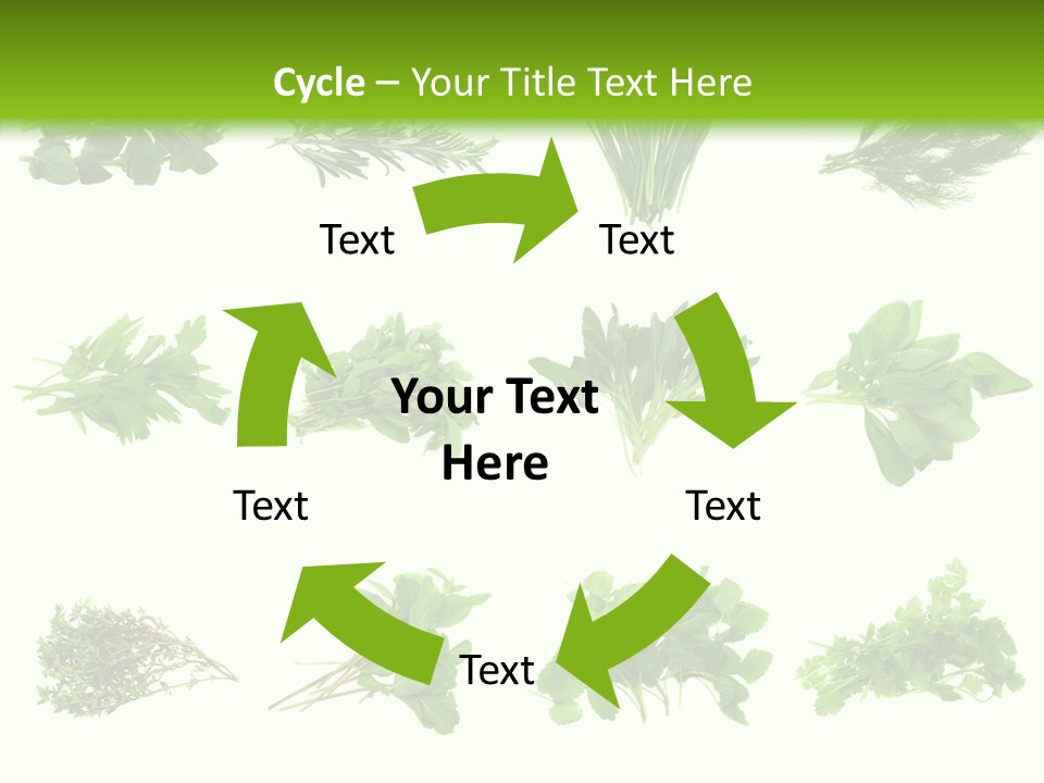 Basil Cilantro Lovage PowerPoint Template