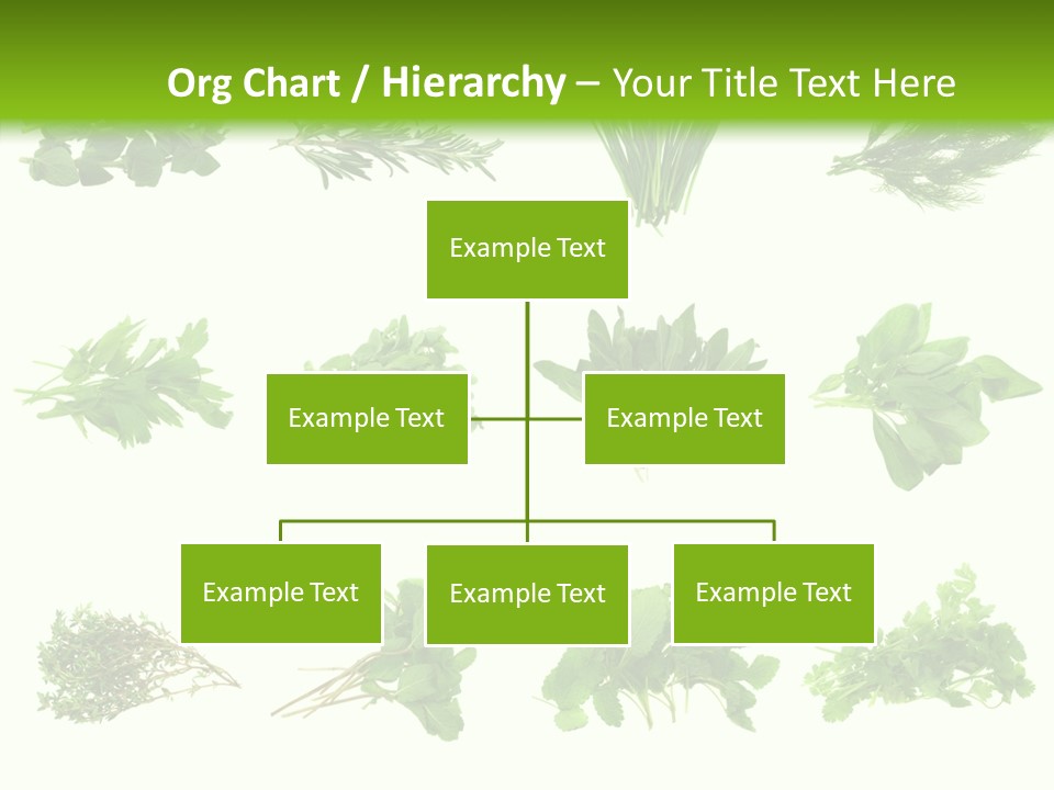 Basil Cilantro Lovage PowerPoint Template