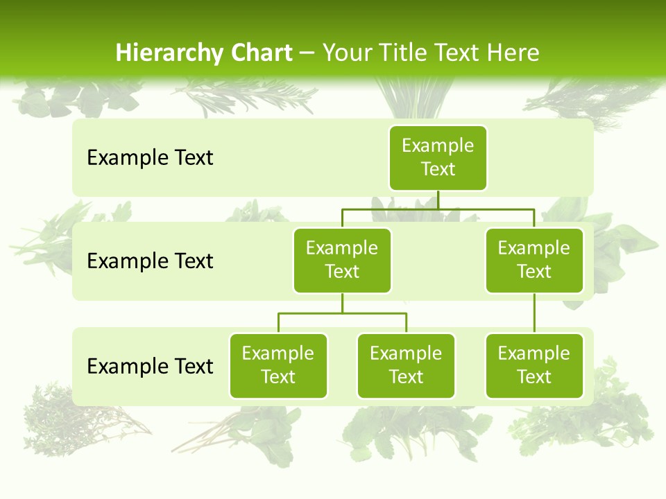Basil Cilantro Lovage PowerPoint Template