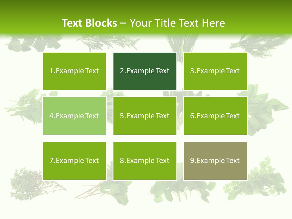 Basil Cilantro Lovage PowerPoint Template