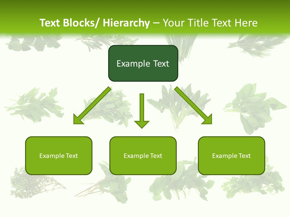 Basil Cilantro Lovage PowerPoint Template