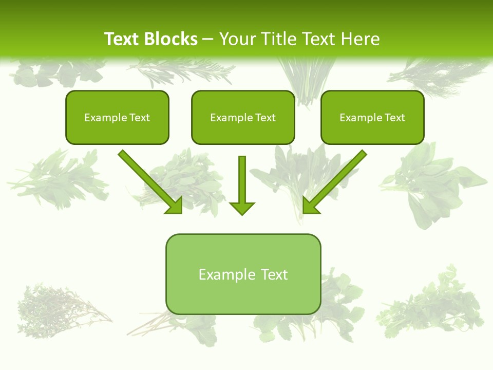 Basil Cilantro Lovage PowerPoint Template