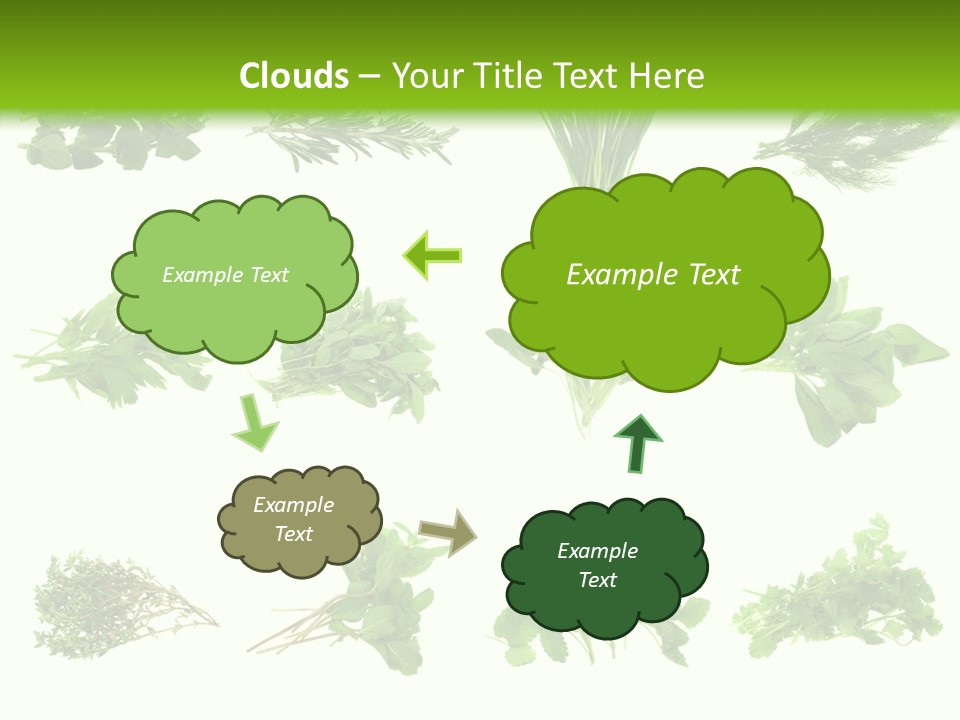 Basil Cilantro Lovage PowerPoint Template