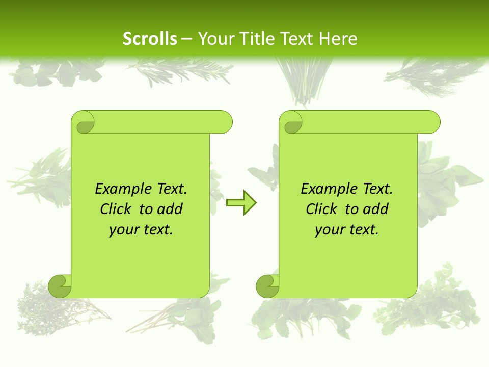 Basil Cilantro Lovage PowerPoint Template