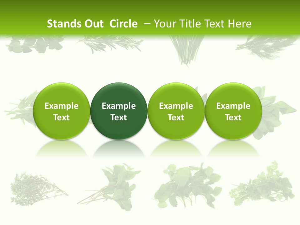 Basil Cilantro Lovage PowerPoint Template