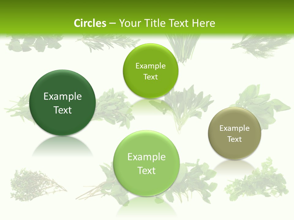 Basil Cilantro Lovage PowerPoint Template