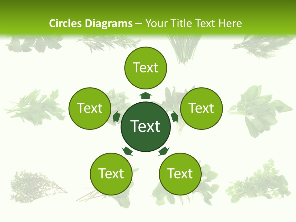 Basil Cilantro Lovage PowerPoint Template