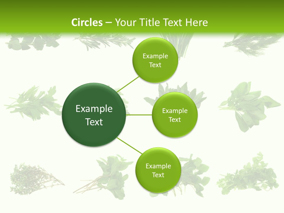 Basil Cilantro Lovage PowerPoint Template