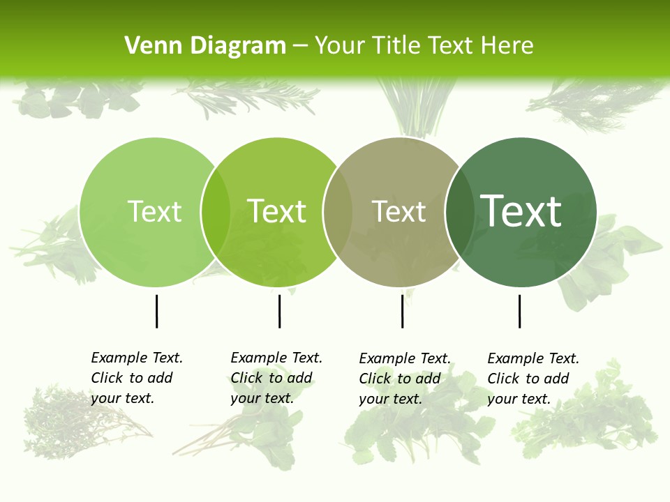 Basil Cilantro Lovage PowerPoint Template