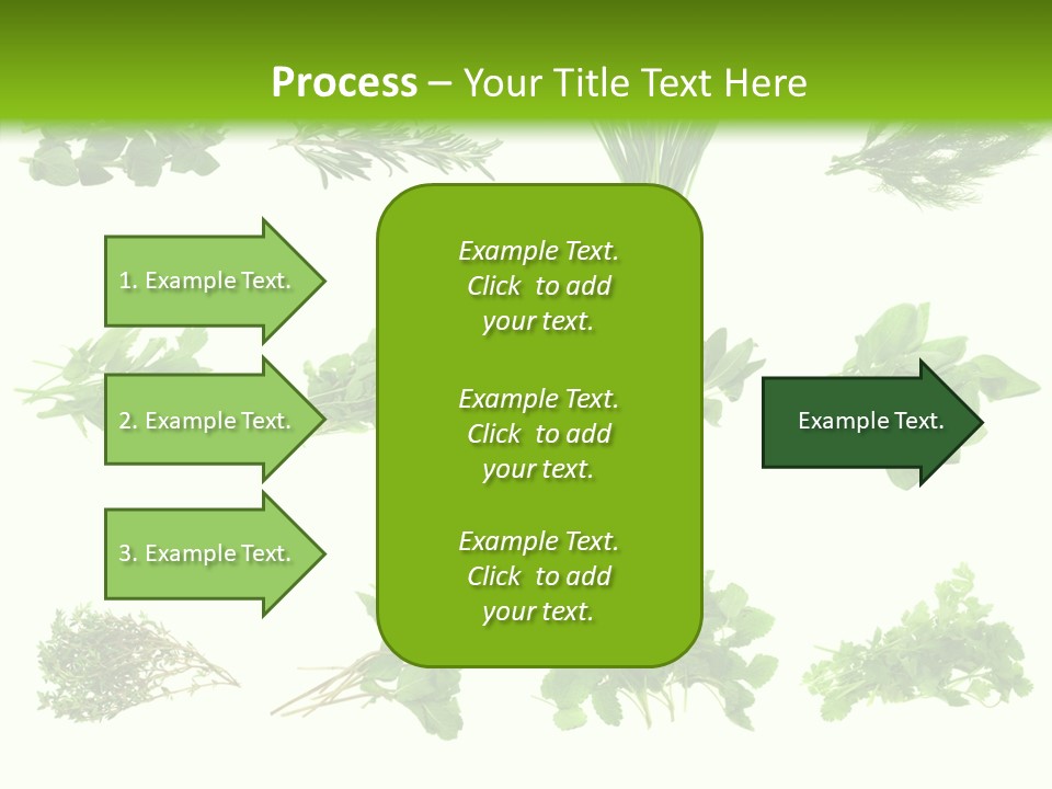 Basil Cilantro Lovage PowerPoint Template