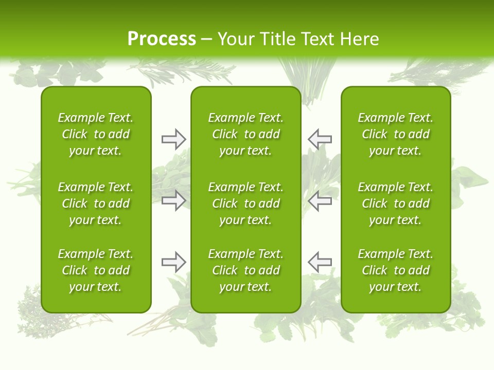 Basil Cilantro Lovage PowerPoint Template