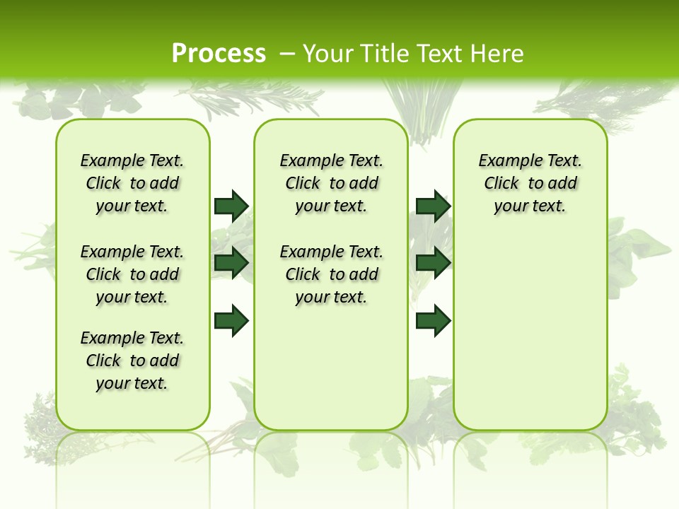 Basil Cilantro Lovage PowerPoint Template