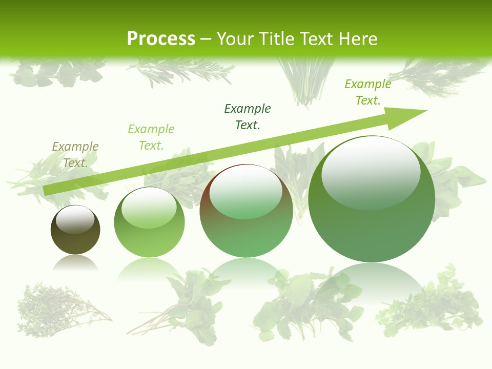 Basil Cilantro Lovage PowerPoint Template