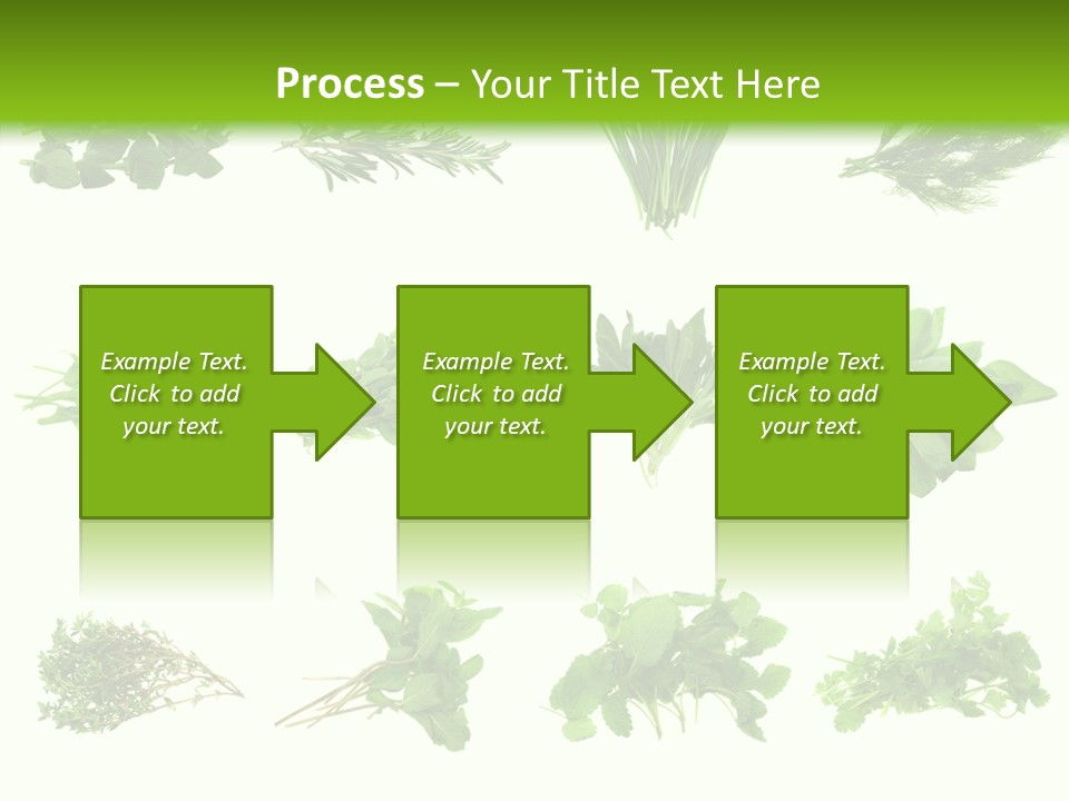 Basil Cilantro Lovage PowerPoint Template