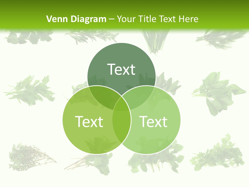 Basil Cilantro Lovage PowerPoint Template