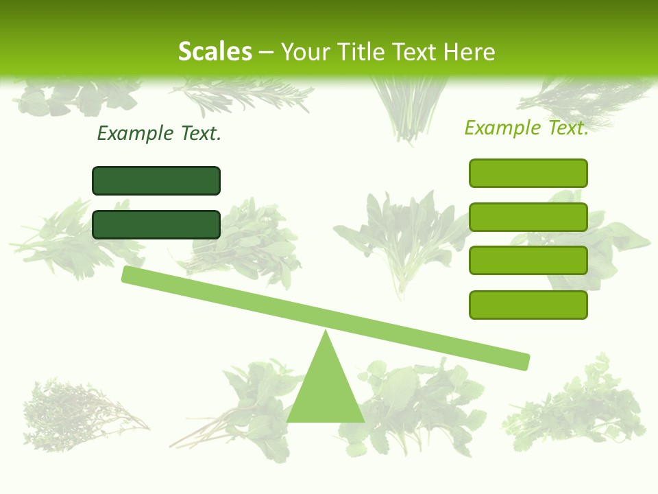 Basil Cilantro Lovage PowerPoint Template
