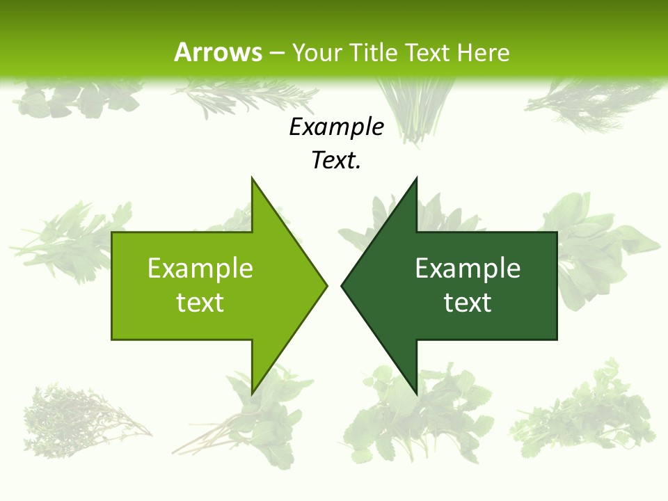 Basil Cilantro Lovage PowerPoint Template