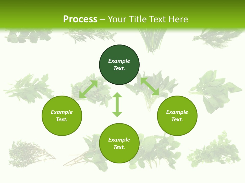 Basil Cilantro Lovage PowerPoint Template