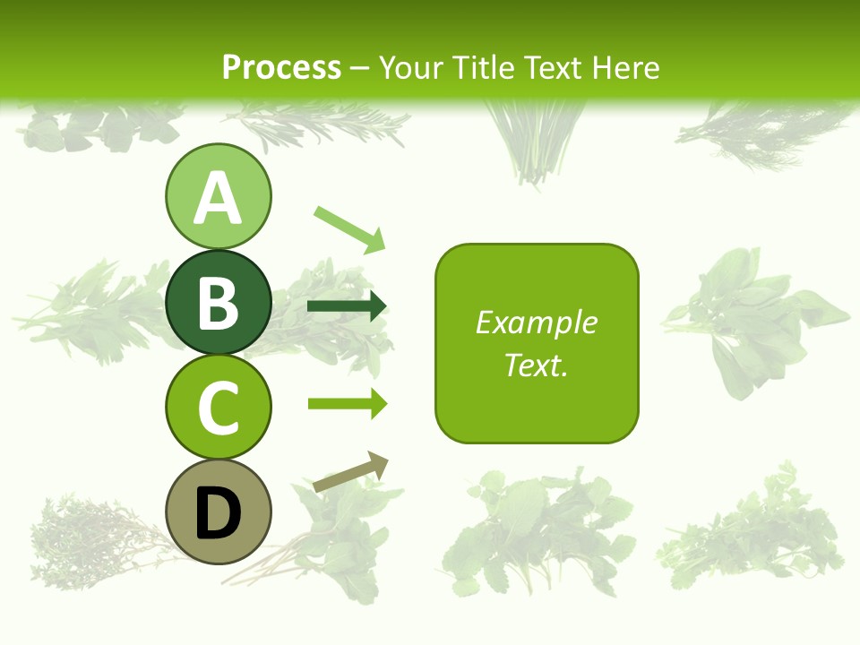 Basil Cilantro Lovage PowerPoint Template