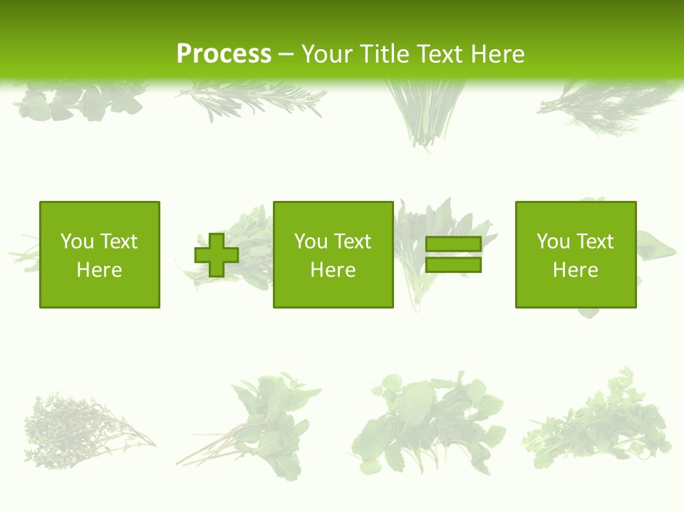 Basil Cilantro Lovage PowerPoint Template