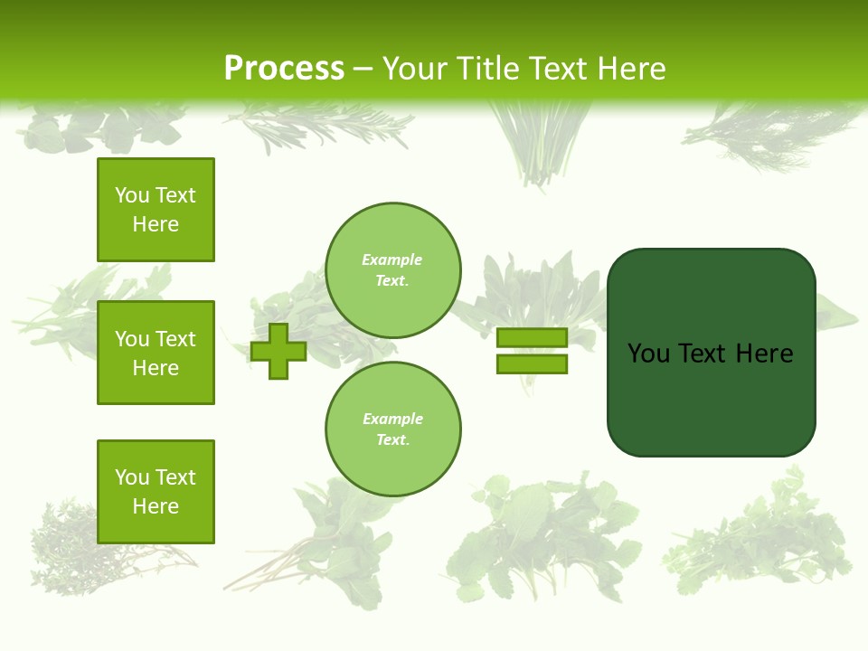 Basil Cilantro Lovage PowerPoint Template