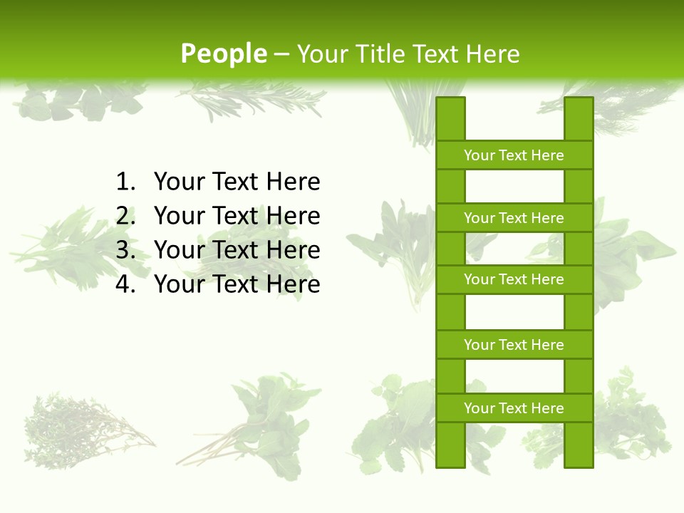 Basil Cilantro Lovage PowerPoint Template