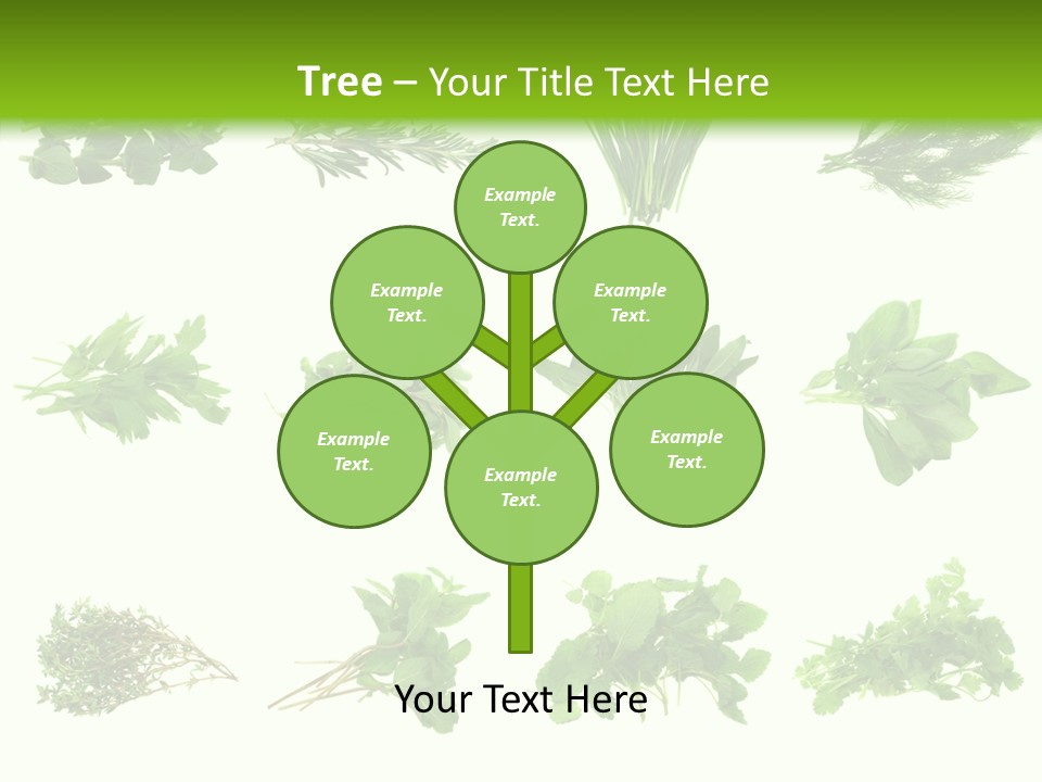 Basil Cilantro Lovage PowerPoint Template