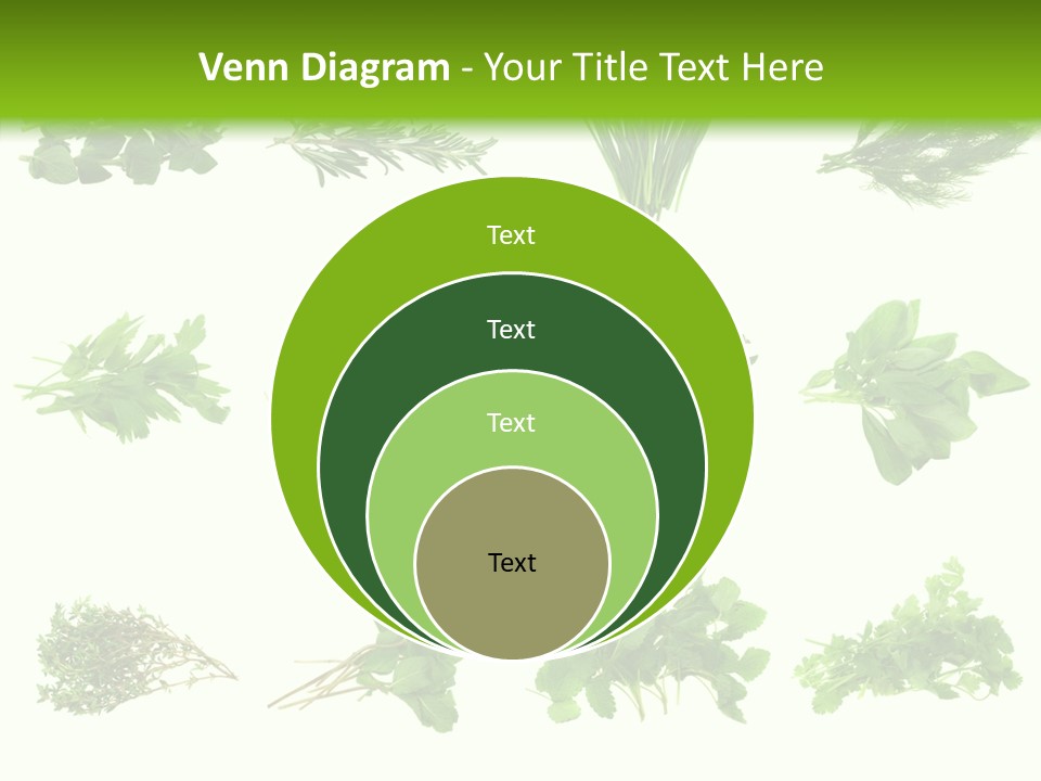 Basil Cilantro Lovage PowerPoint Template