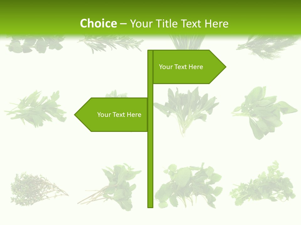 Basil Cilantro Lovage PowerPoint Template
