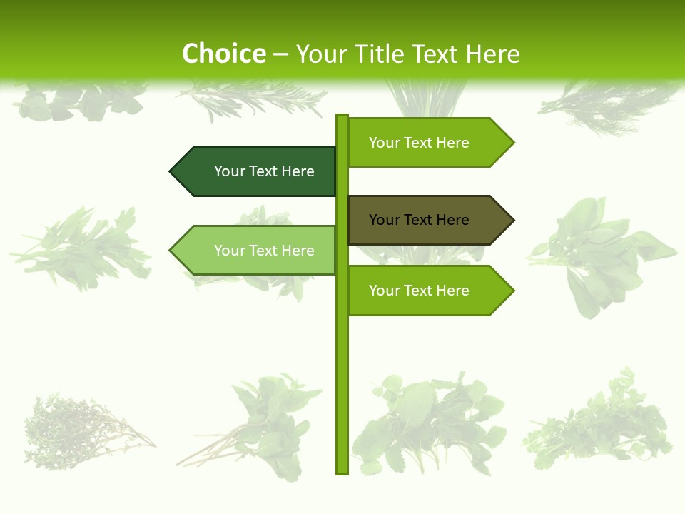Basil Cilantro Lovage PowerPoint Template