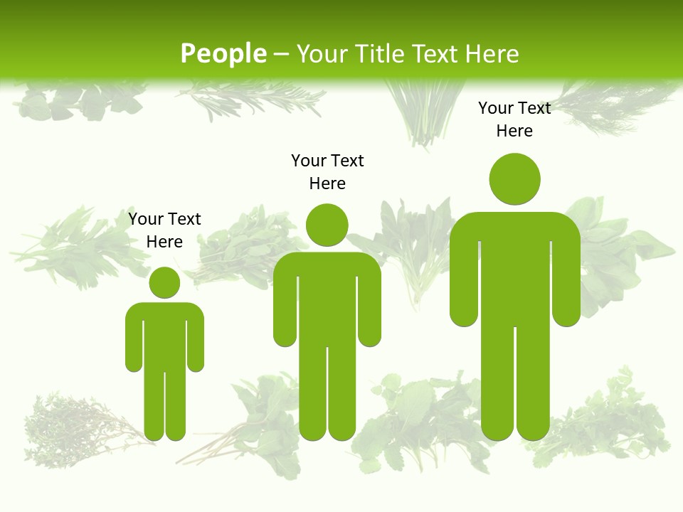 Basil Cilantro Lovage PowerPoint Template