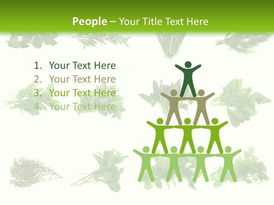 Basil Cilantro Lovage PowerPoint Template