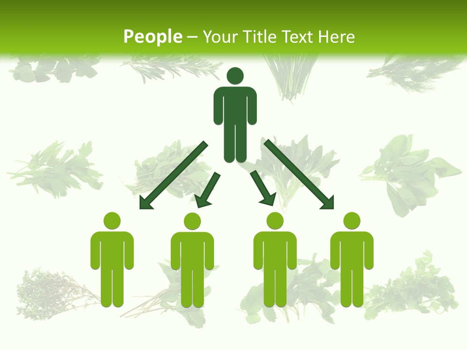 Basil Cilantro Lovage PowerPoint Template