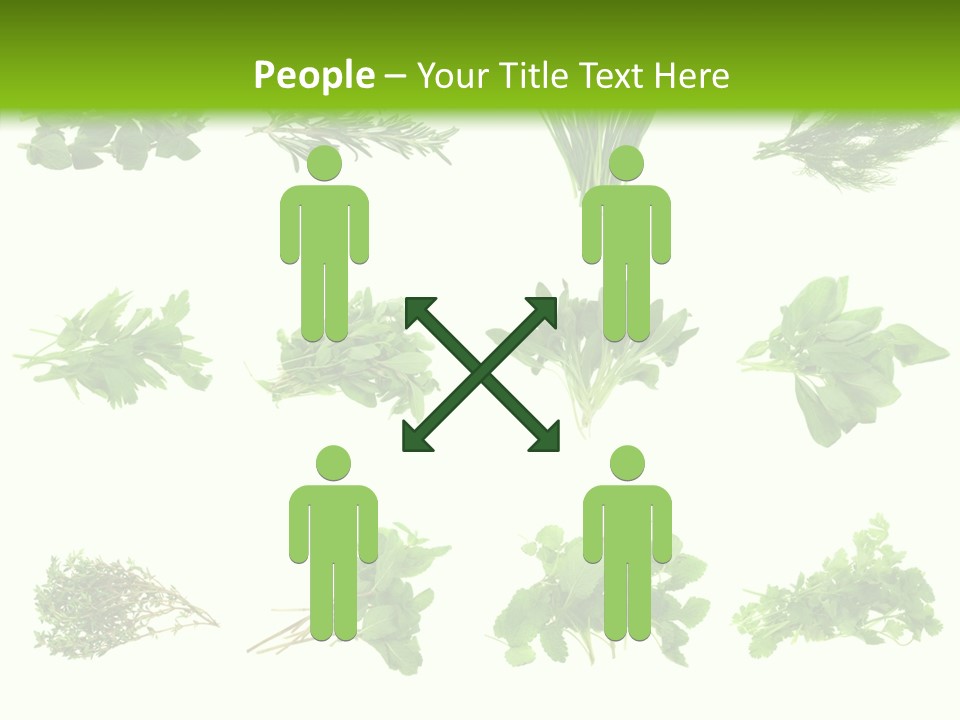 Basil Cilantro Lovage PowerPoint Template