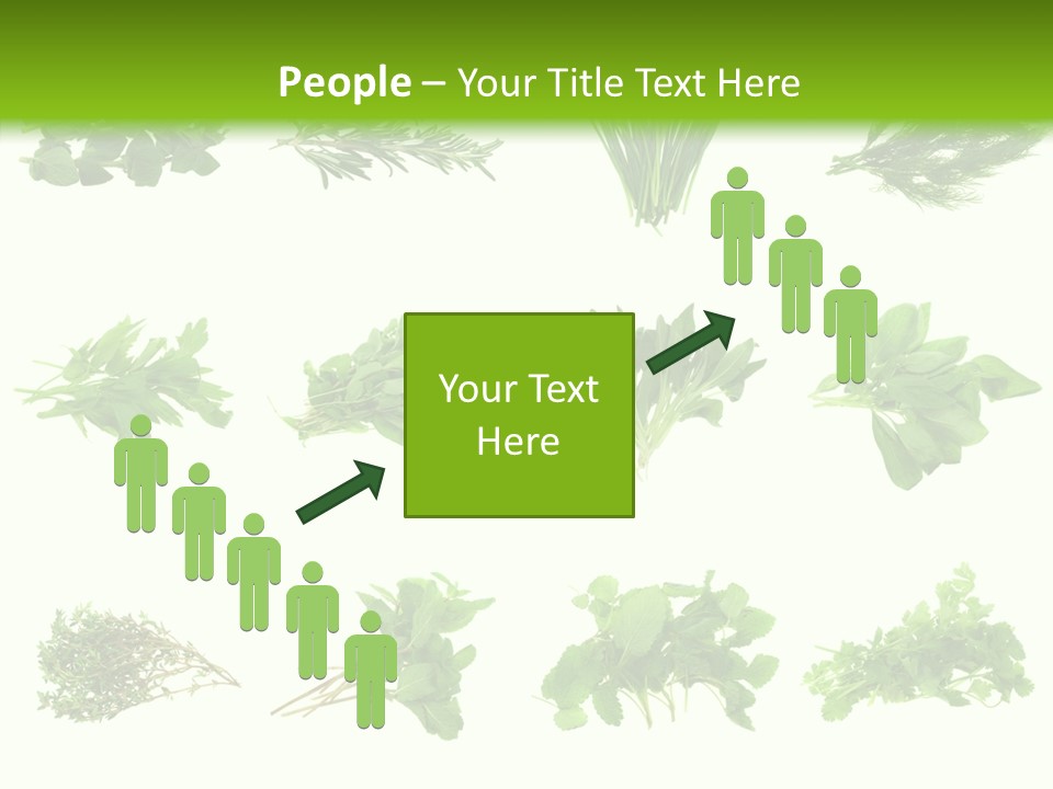Basil Cilantro Lovage PowerPoint Template