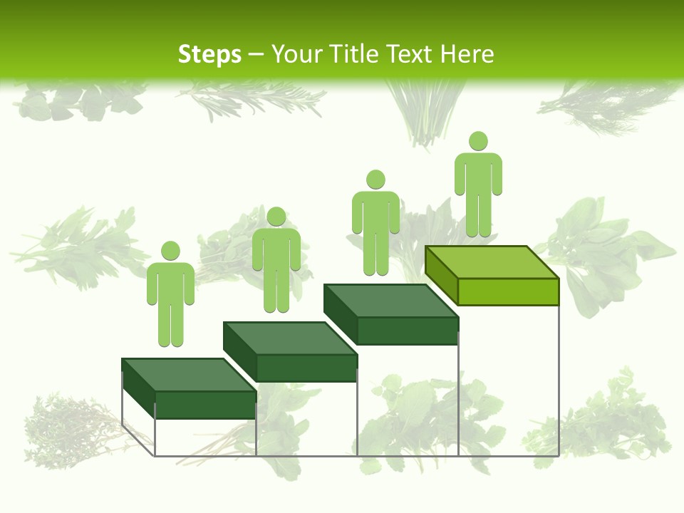Basil Cilantro Lovage PowerPoint Template