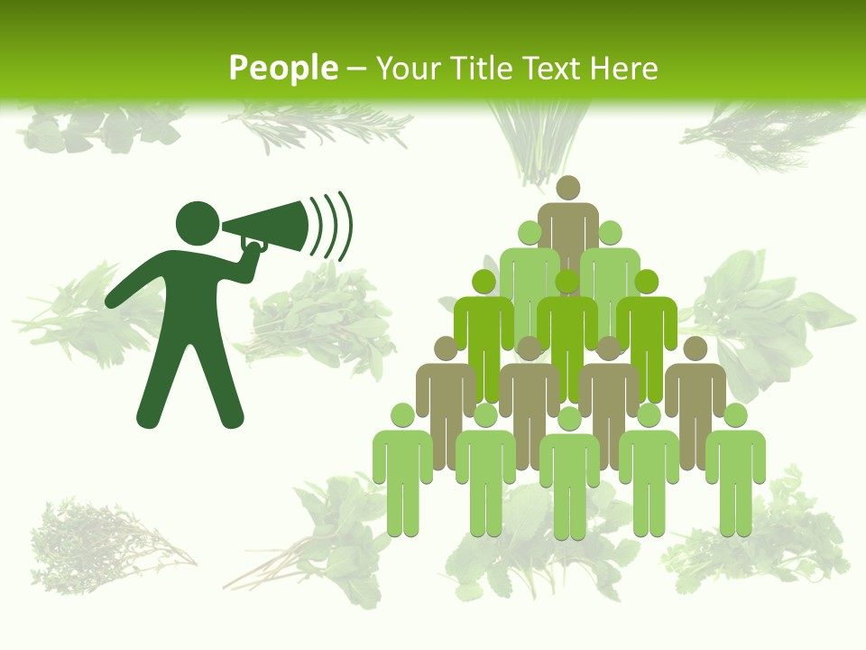 Basil Cilantro Lovage PowerPoint Template