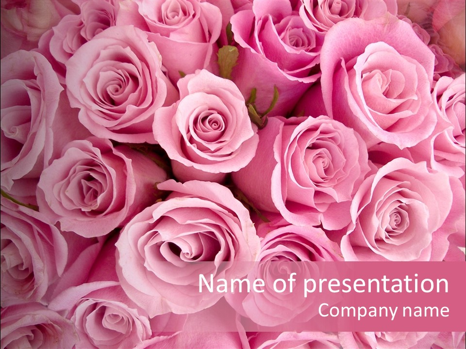 Flowers Pink Day PowerPoint Template